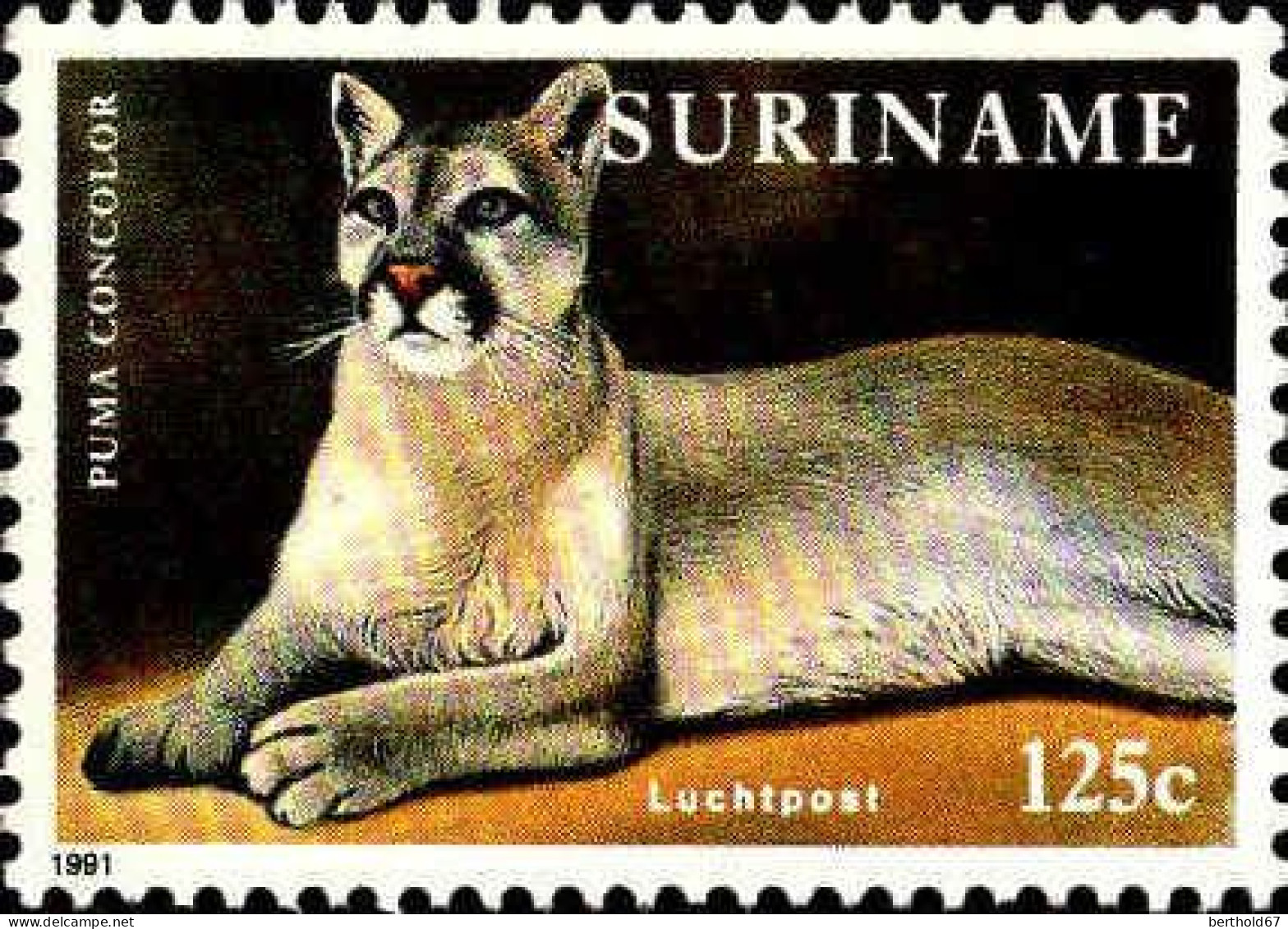 Suriname Avion N** Yv:100/101  Le Puma Concolor - Other & Unclassified