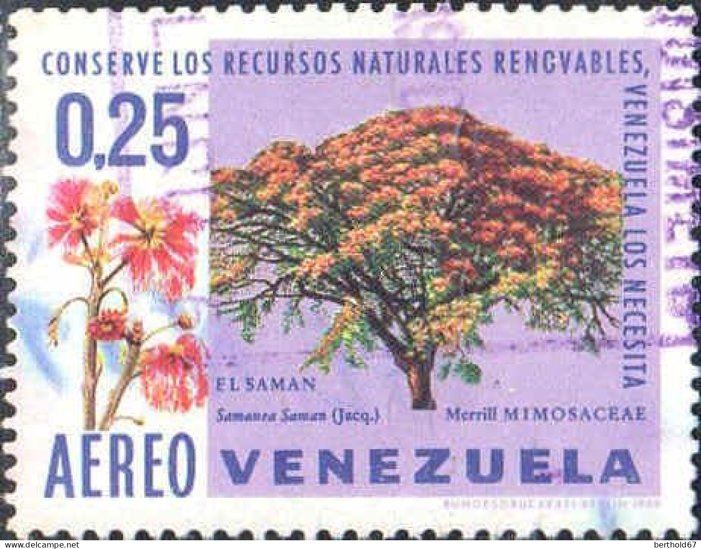 Venezuela Avion Obl Yv: 969 Mi:1786 Mimosaceae (Obl.mécanique) - Venezuela