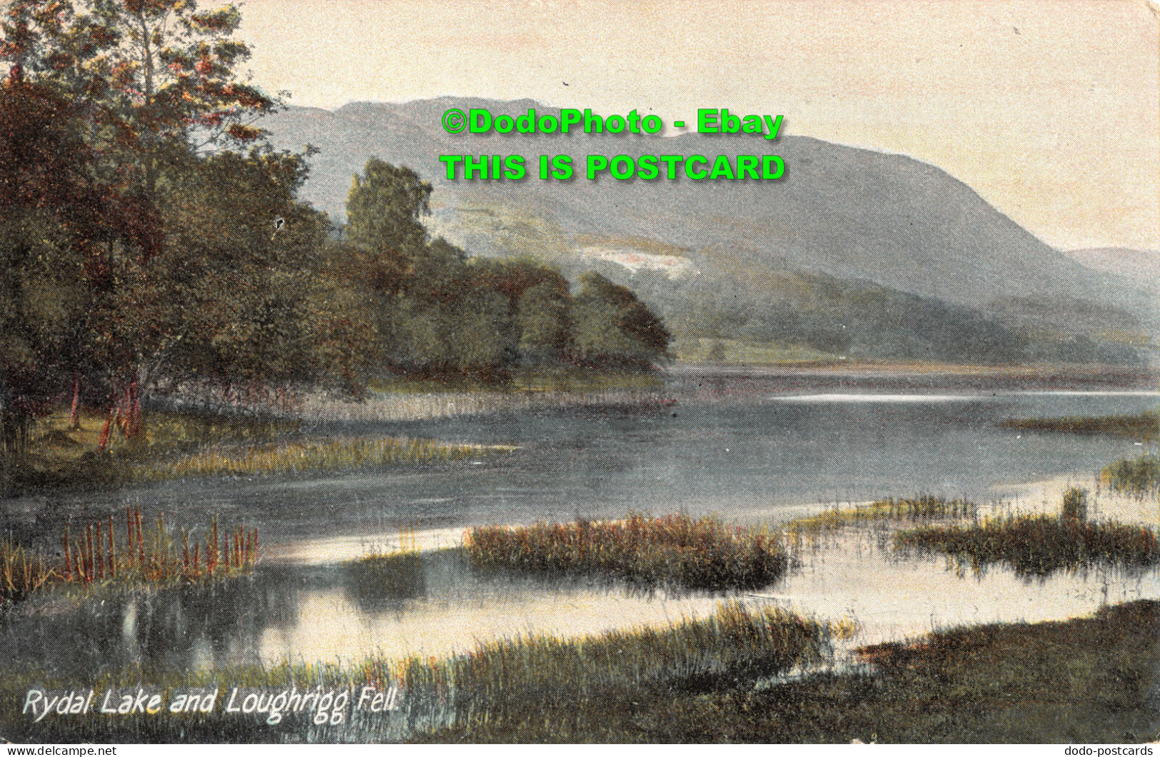 R356550 Rydal Lake And Loughrigg Fell. J. W. B. Commercial Series. 1910. Series - World