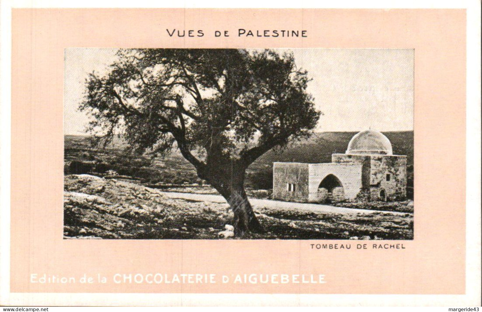 PALESTINE 95 CPA NEUVES VUES DE PALESTINE