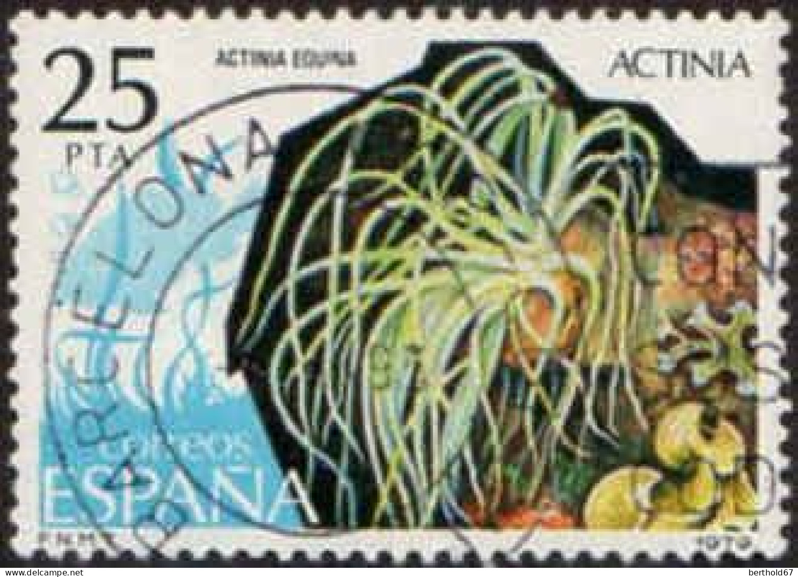 Espagne Poste Obl Yv:2177 Mi:2427 Actinia Actinia Equina (TB Cachet Rond) - Used Stamps
