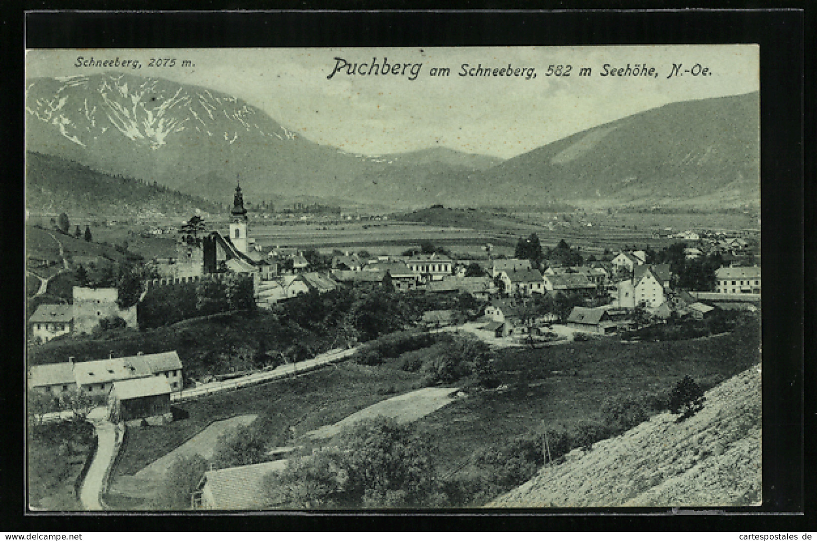 Mondschein-AK Puchberg Am Schneeberg, Totalansicht Mit Schneeberg Aus Der Vogelschau  - Sonstige & Ohne Zuordnung