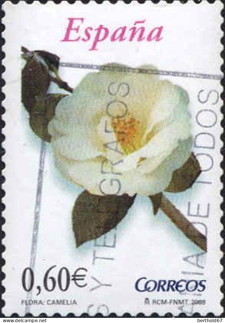 Espagne Poste Obl Yv:3989 Mi:4288 Ed:4382 Flora Camelia (Beau Cachet Rond) - Used Stamps