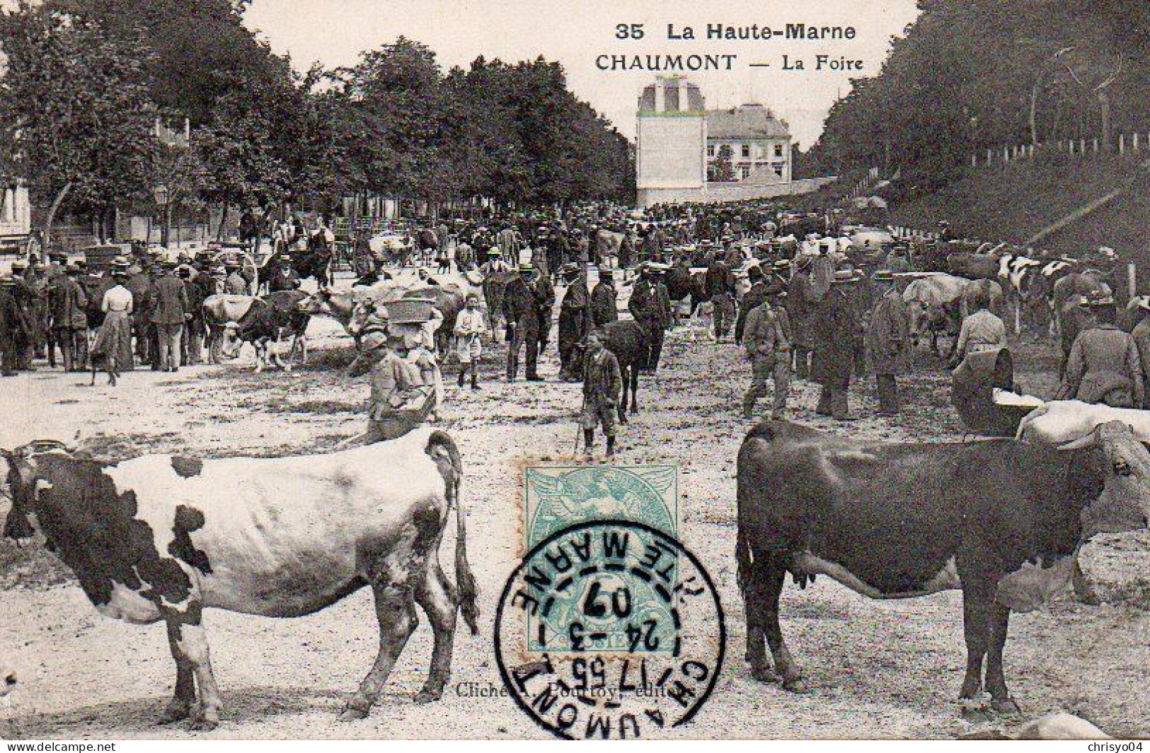 4V4Sb   52 Chaumont La Foire Aux Bestiaux - Chaumont