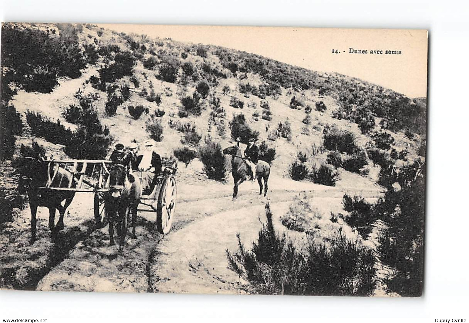 Dunes Avec Semis - Equipe De Maurice En 1905 - Très Bon état - Altri & Non Classificati