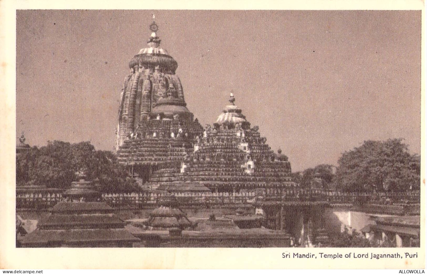 26964 " SRI MANDIR-TEMPLE OF LORD JAGANNATH-PURI " -VERA FOTO-CART.POST. NON SPED. - India