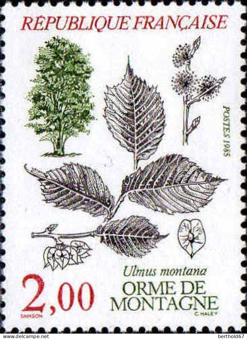 France Poste N** Yv:2384/2387 Flore & Faune De France 3.Arbres - Unused Stamps