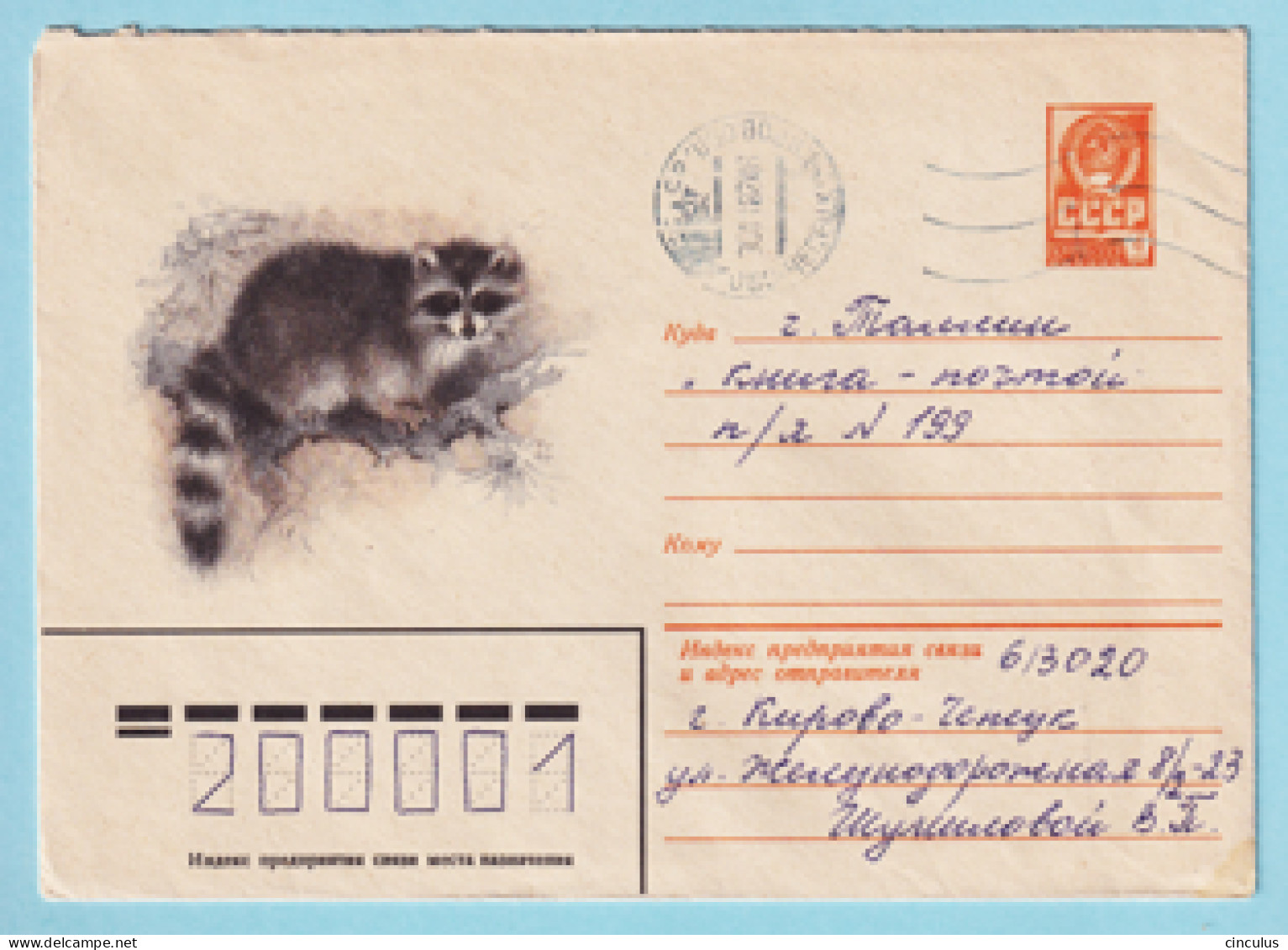 USSR 1981.0330. Racoon (Procyon Lotor). Prestamped Cover, Used - 1980-91