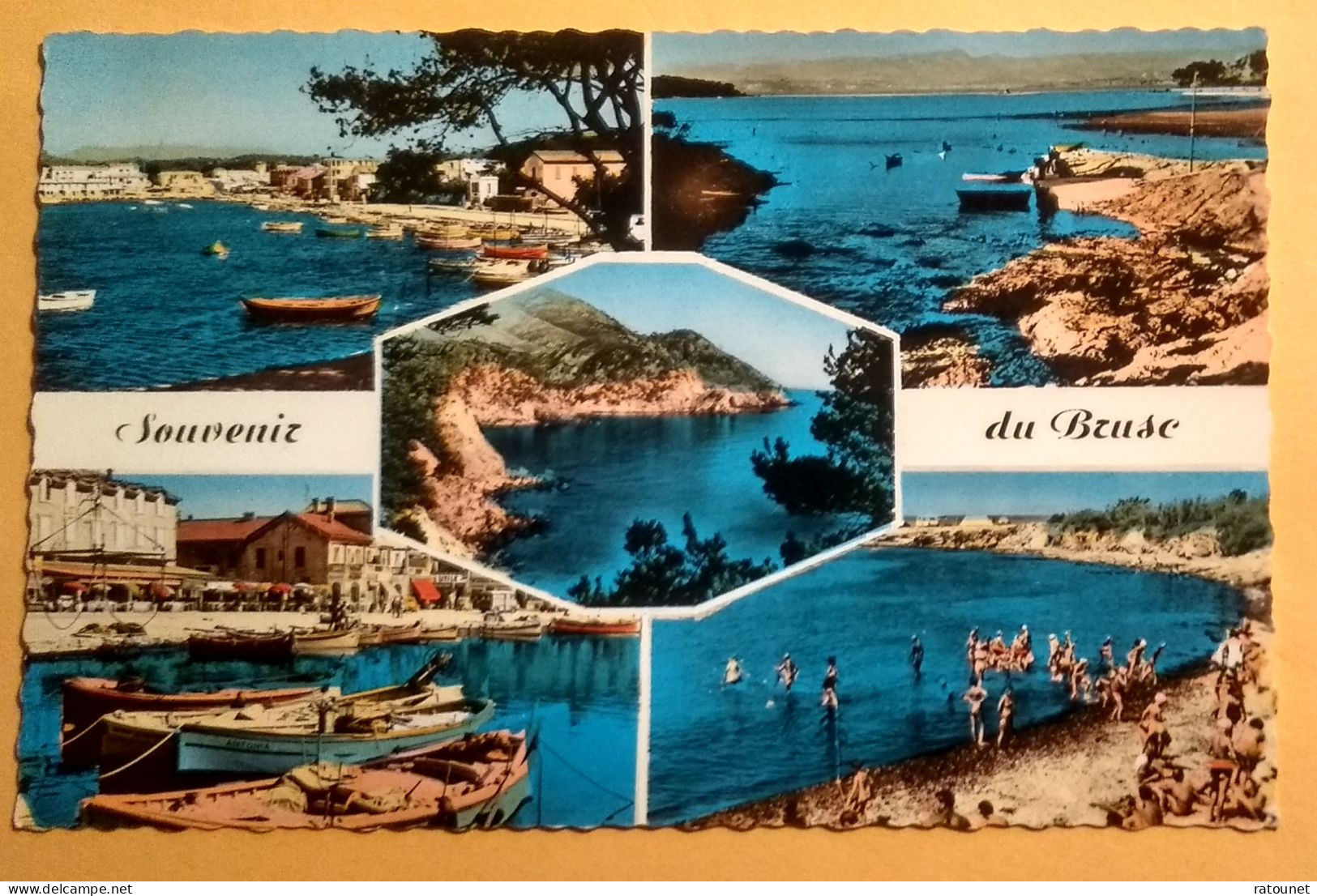 83 - Six Fours Les Plages -  LE BRUSC - CPSM 2077 - Multivues - éd ARIS - Six-Fours-les-Plages