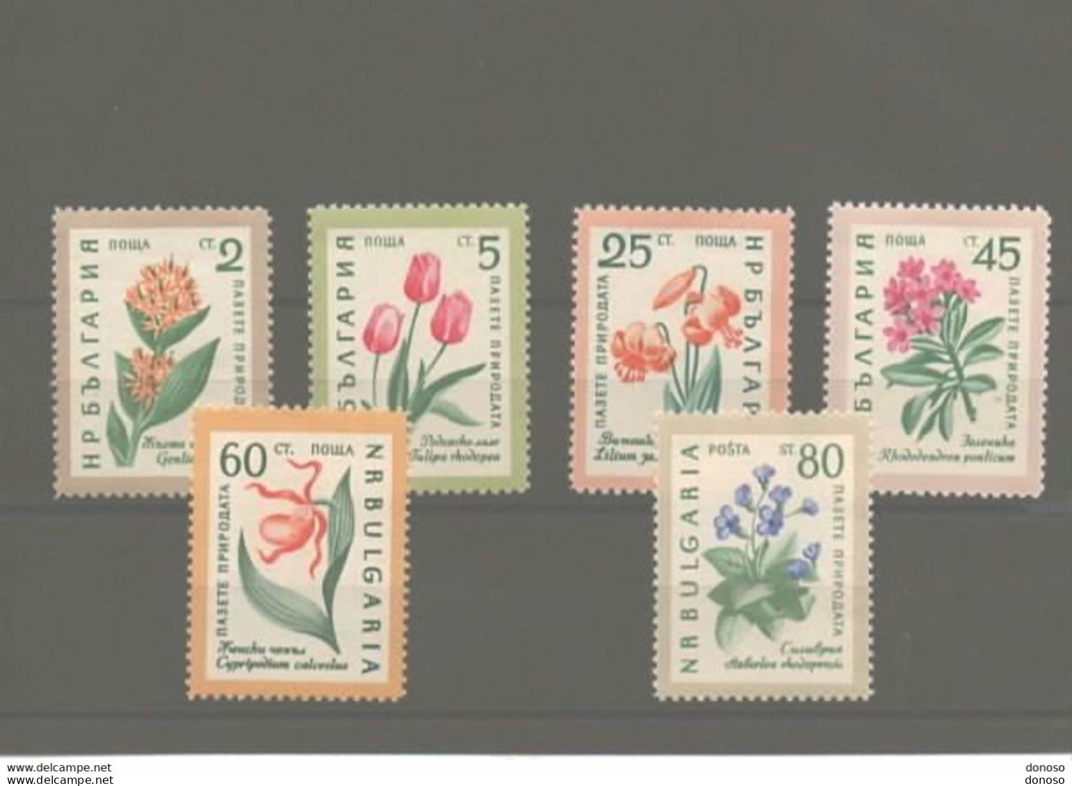 BULGARIE 1960 FLEURS Yvert 1018-1023, Michel 1164-1169 NEUF** MNH Cote 8 Euros - Nuovi