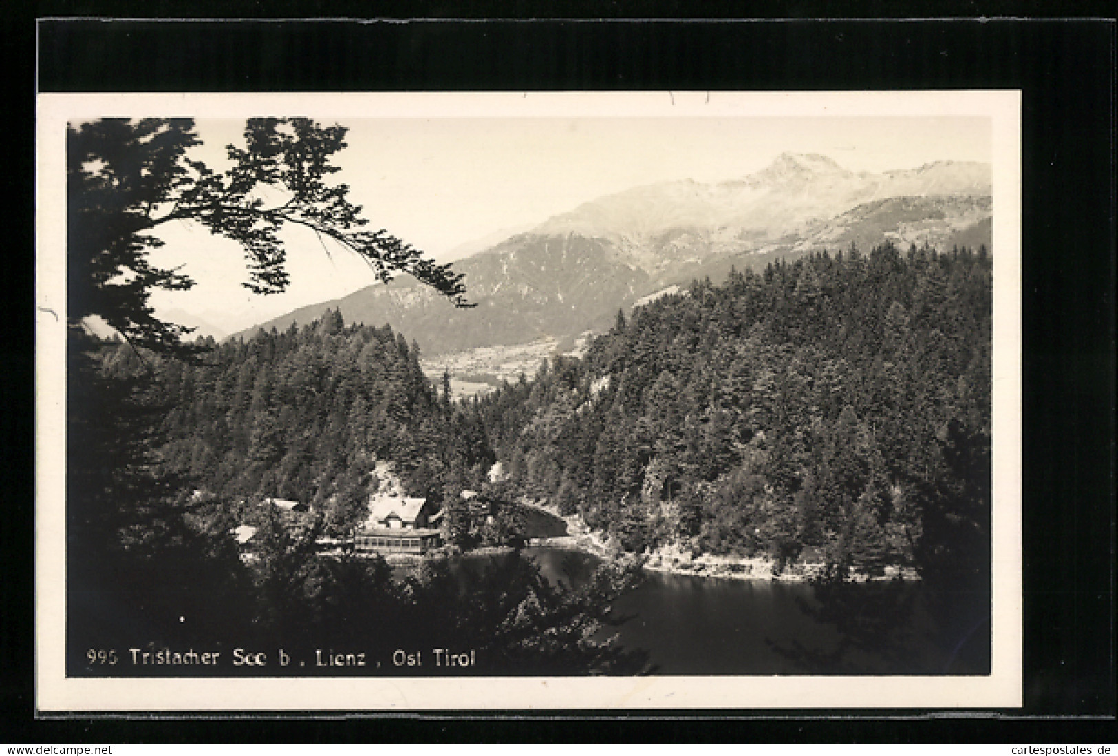 AK Lienz /Tirol, Tristacher See Vor Berghintergrund  - Autres & Non Classés