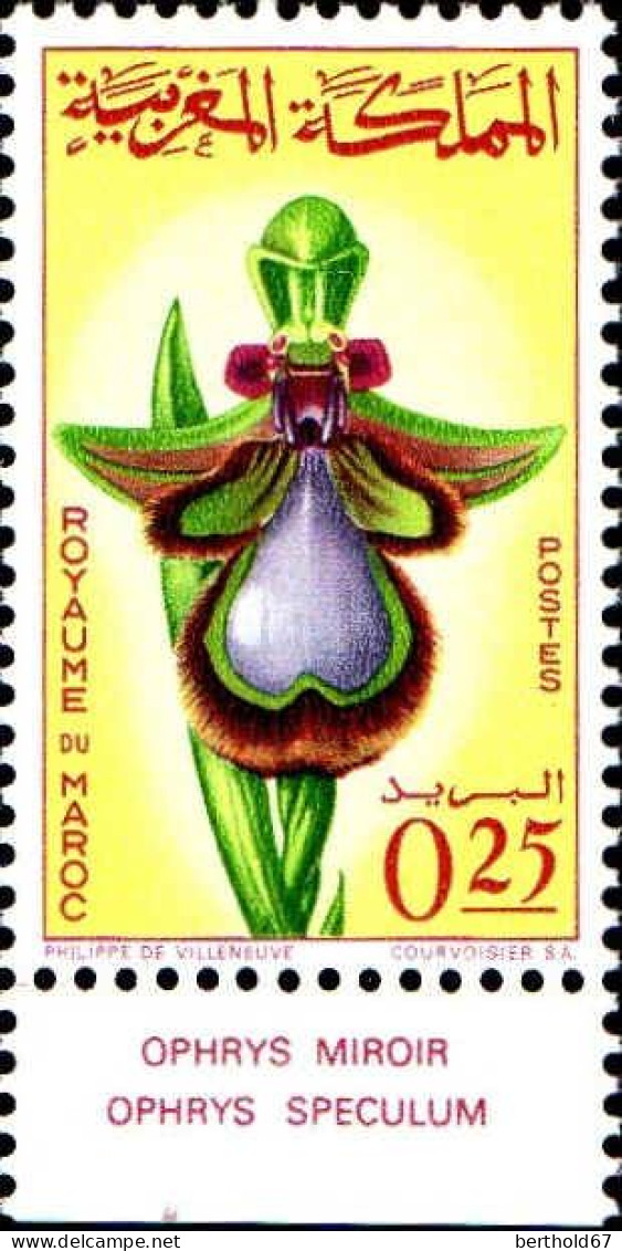Maroc Poste N** Yv: 494 Mi:556 Ophrys Speculum Ophrys Miroir Bord De Feuille - Maroc (1956-...)