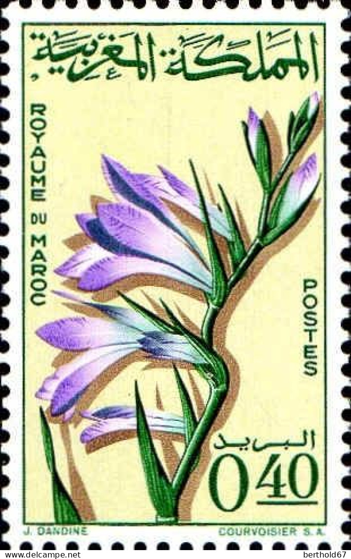 Maroc Poste N** Yv: 481 Mi:543 Gladiolus Segetum Glaïeul Des Moissons - Morocco (1956-...)