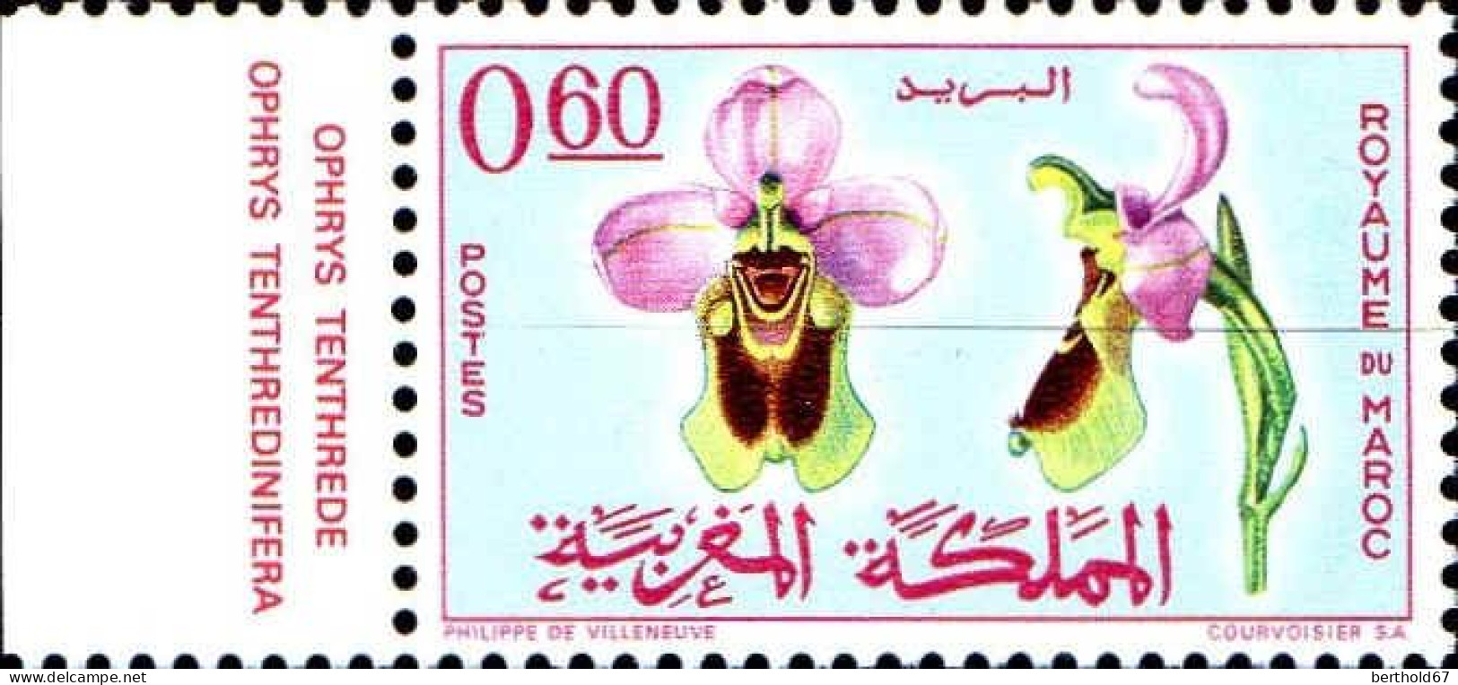 Maroc Poste N** Yv: 496 Mi:558 Ophrys Tenthredinifera Ophrys Tenthrede Bord De Feuille - Marocco (1956-...)