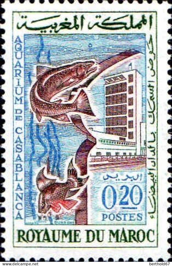 Maroc Poste N** Yv: 448 Mi:506 Aquarium De Casablanca Truite - Marokko (1956-...)