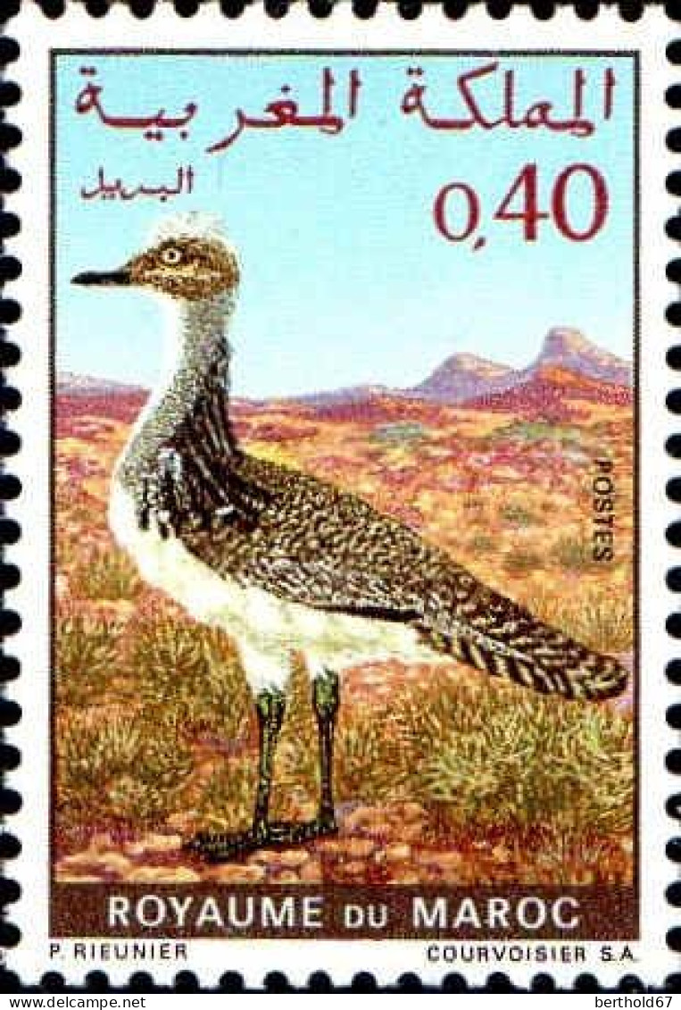 Maroc Poste N* Yv: 607 Mi:673 Chlamydotis Undulata-Otididae Outarde (sans Gomme) - Morocco (1956-...)