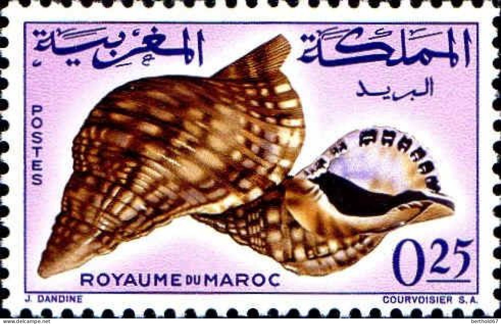 Maroc Poste N* Yv: 490 Mi:552 Cymbium Neptuni Triton Modifère (défaut Gomme) - Morocco (1956-...)
