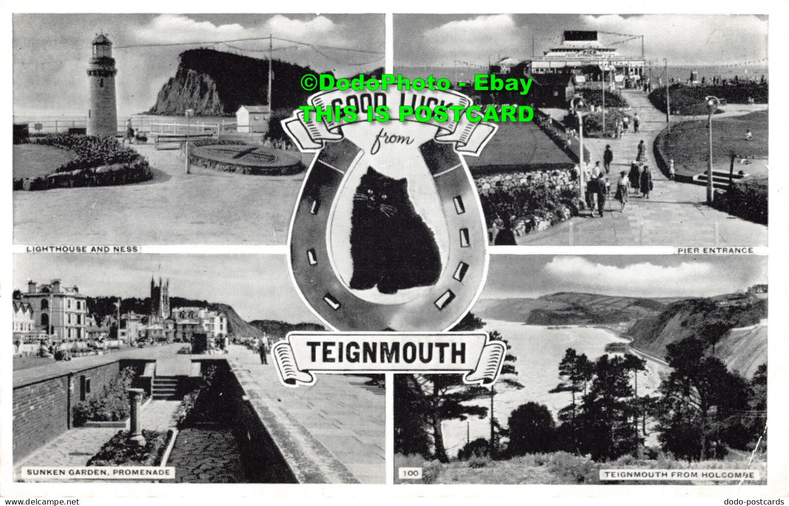 R356620 Good Luck From Teignmouth. 100. Multi View - World