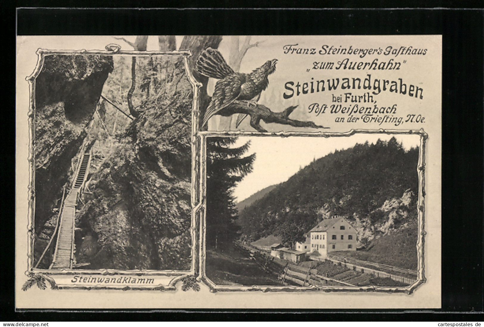 AK Furth, Gasthaus Zum Auerhahn Bes.: Franz Steinberger, Steinwandklamm  - Autres & Non Classés