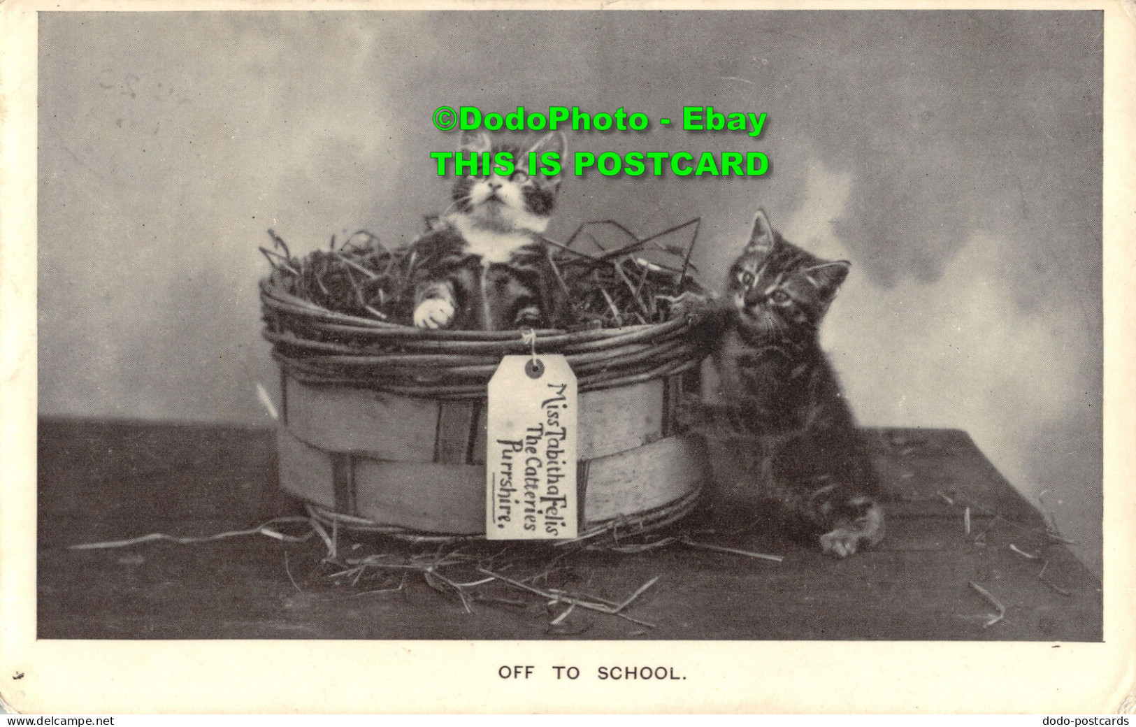 R357092 Off To School. Cats. Kitten. The Regent Glossy Series 1601. R. P. 1906 - Monde