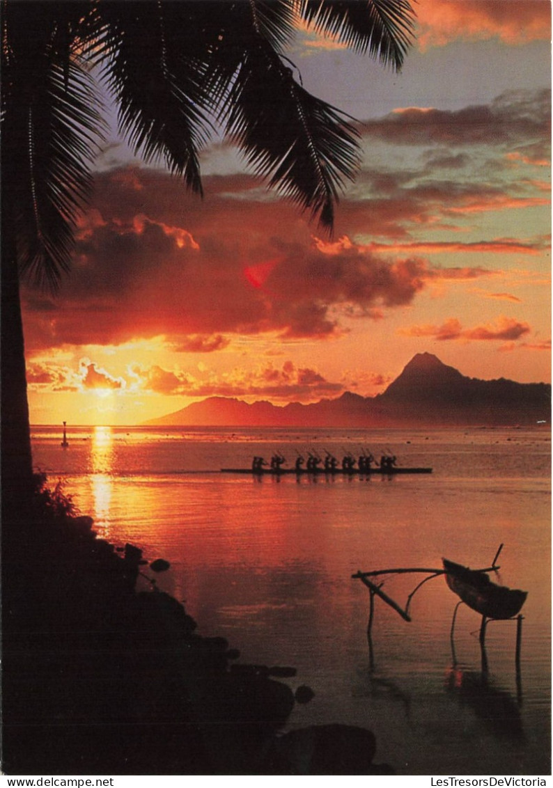 POLYNESIE FRANCAISE - Hoe Te Vaa - Coucher De Soleil - Animé - Bateau - La Mer - Carte Postale - French Polynesia