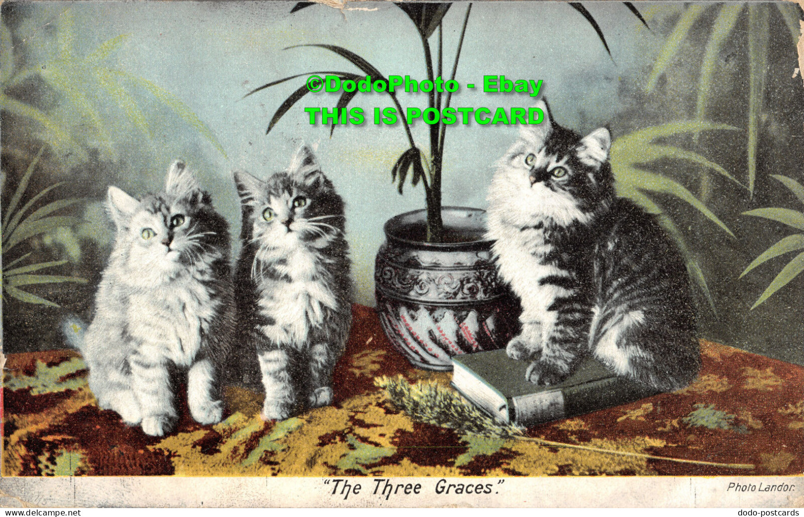 R357167 The Three Graces. Landor. Cat. Kittens. Hartmann. 1905 - World