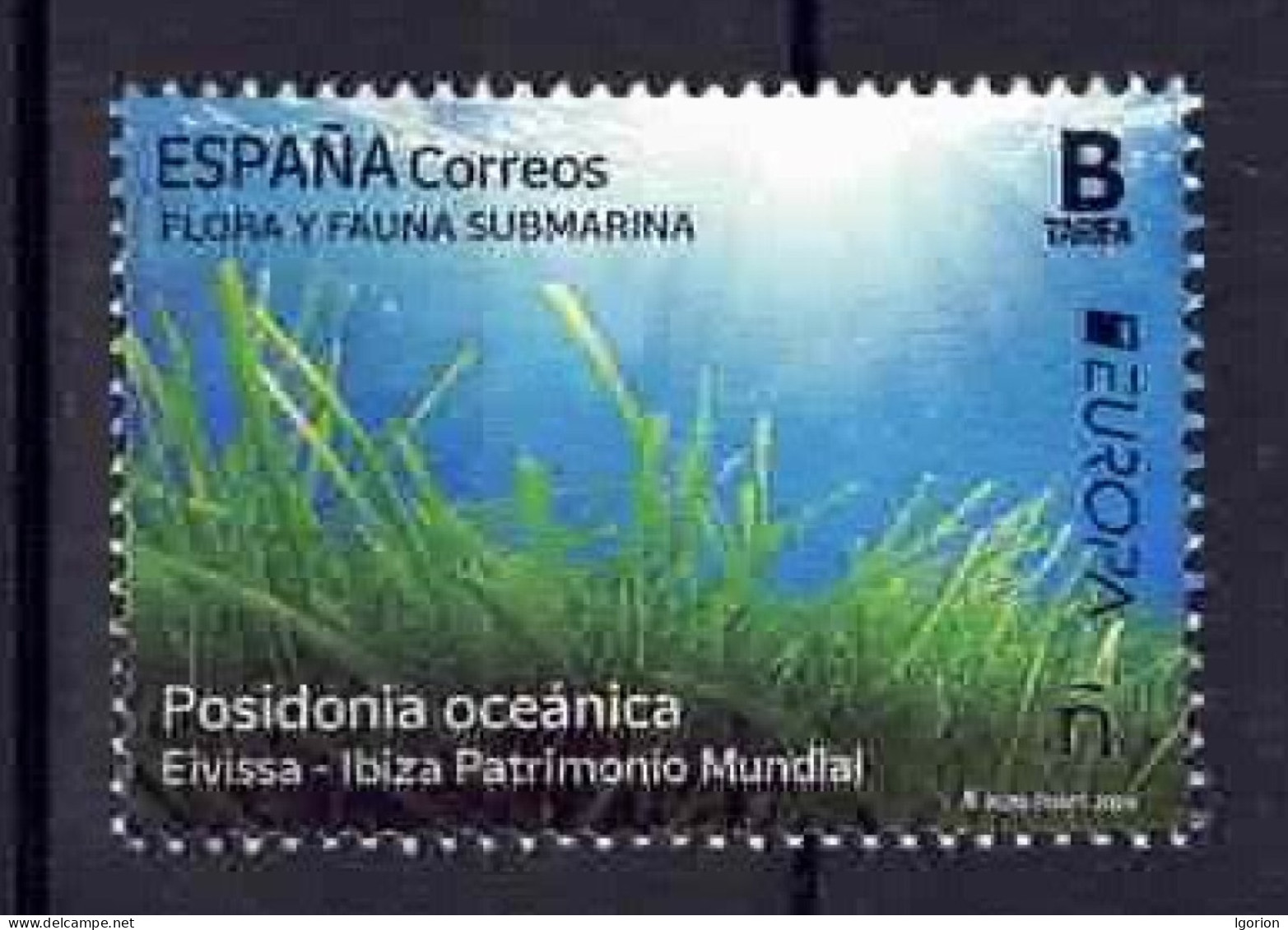 ESPAÑA 2024 ** MNH FLORA Y FAUNA SUBMARINA.. POSIDONIA OCEANICA. EIVISSA-IBIZA PATRIMONIO MUNDIAL - Neufs