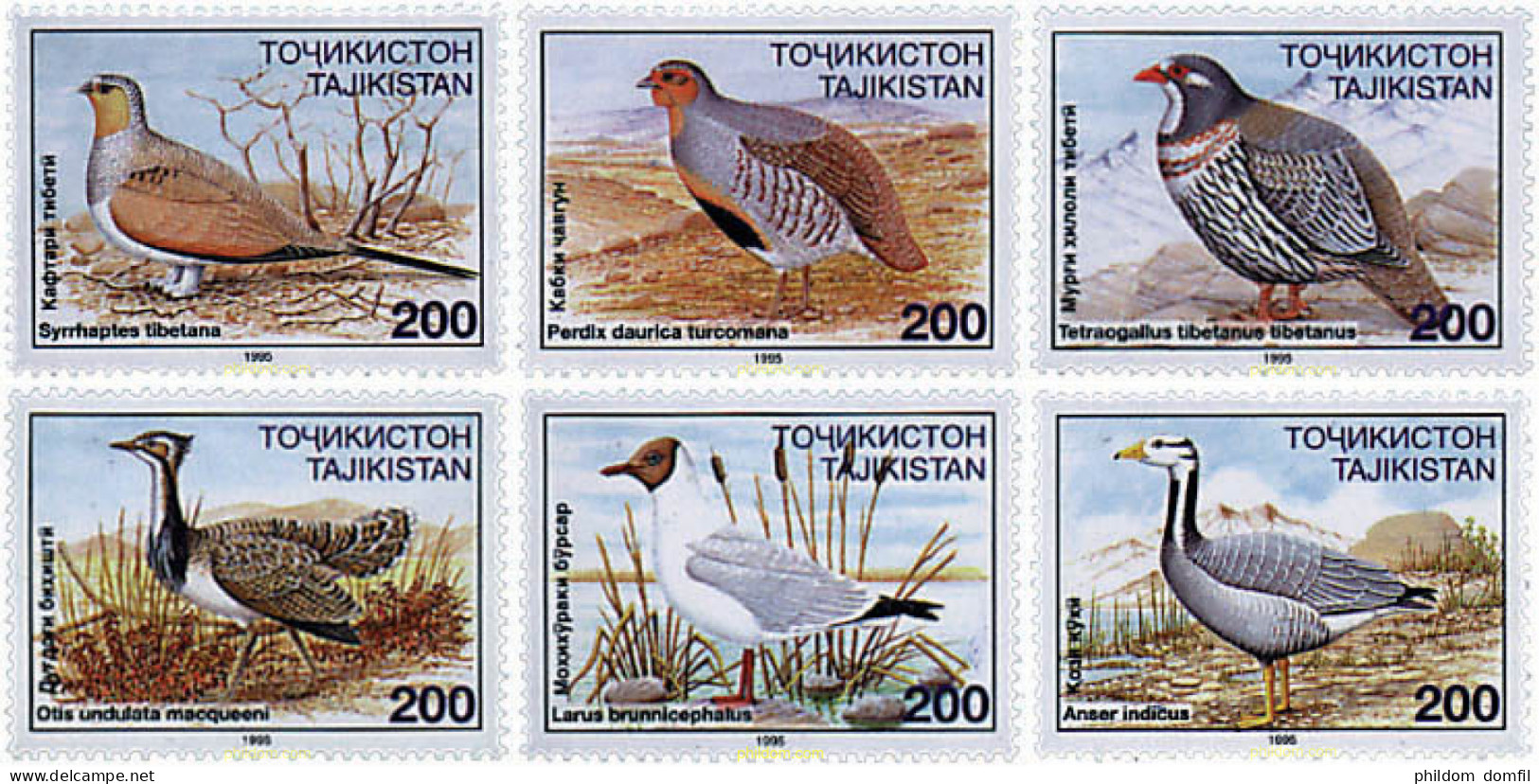 71963 MNH TAYIKISTAN 1996 AVES-CAZA - Tadzjikistan