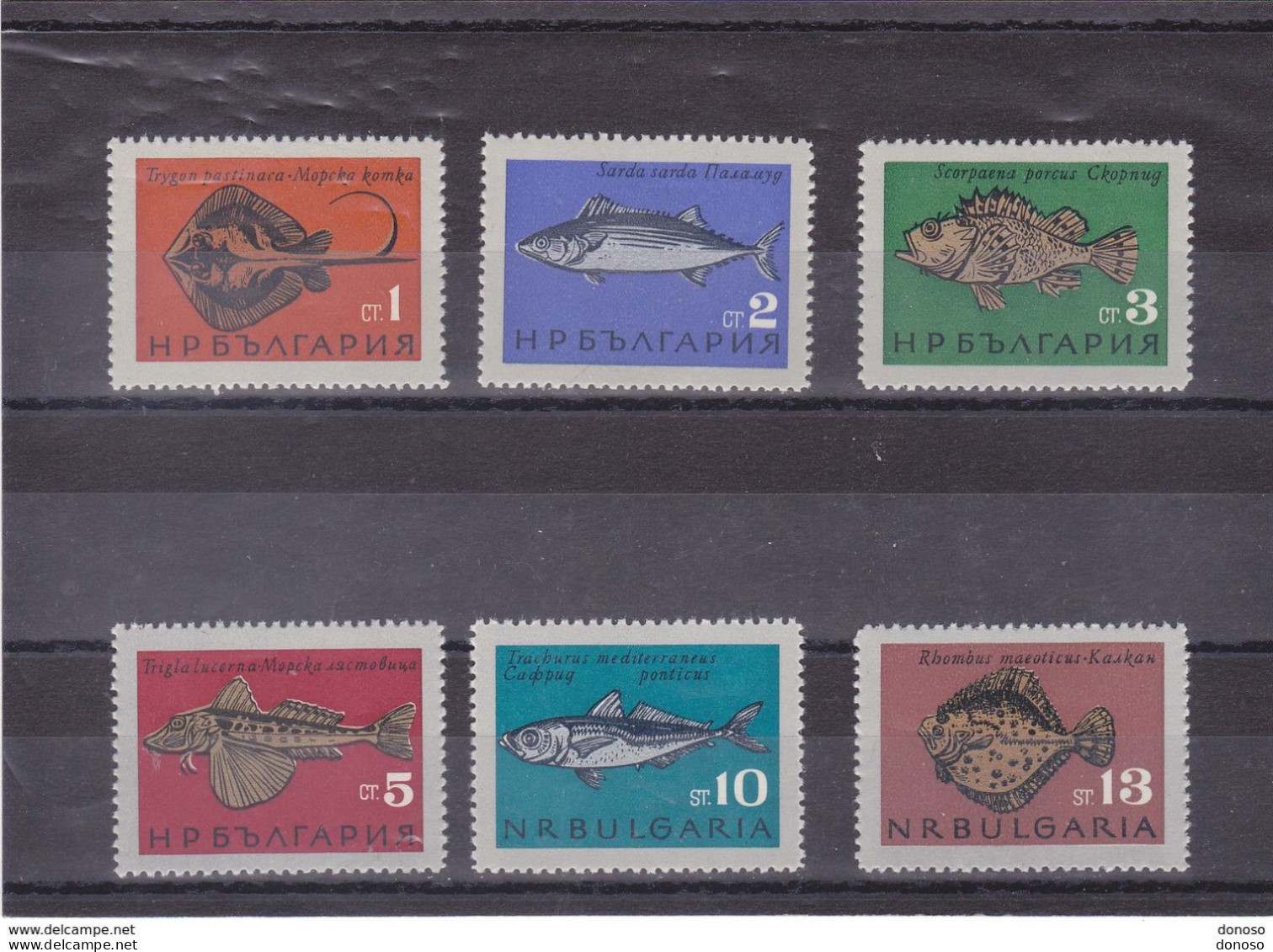 BULGARIE 1965 POISSONS Yvert  1328-1333, Michel 1542-1547 NEUF** MNH Cote 6 Euros - Unused Stamps