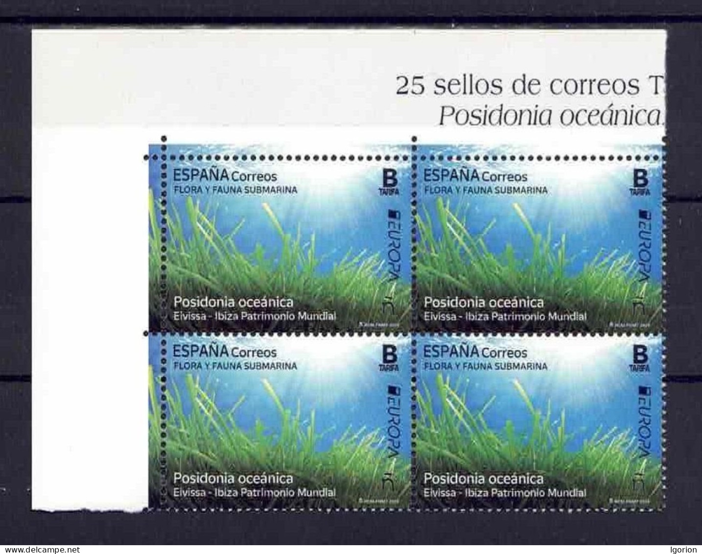 ESPAÑA 2024 ** MNH FLORA Y FAUNA SUBMARINA.. POSIDONIA OCEANICA. EIVISSA-IBIZA PATRIMONIO MUNDIAL. BL.4 - Neufs