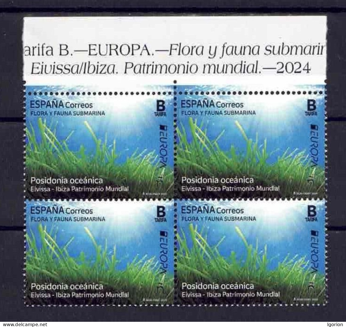 ESPAÑA 2024 ** MNH FLORA Y FAUNA SUBMARINA.. POSIDONIA OCEANICA. EIVISSA-IBIZA PATRIMONIO MUNDIAL. BL.4 - Neufs