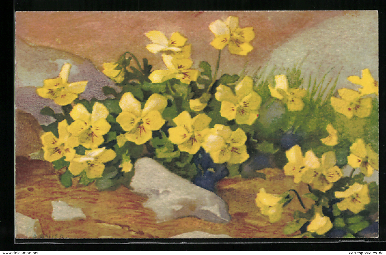 Künstler-AK Anna Haller: Gelbe Blumen Zwischen Steinen  - Haller, A.