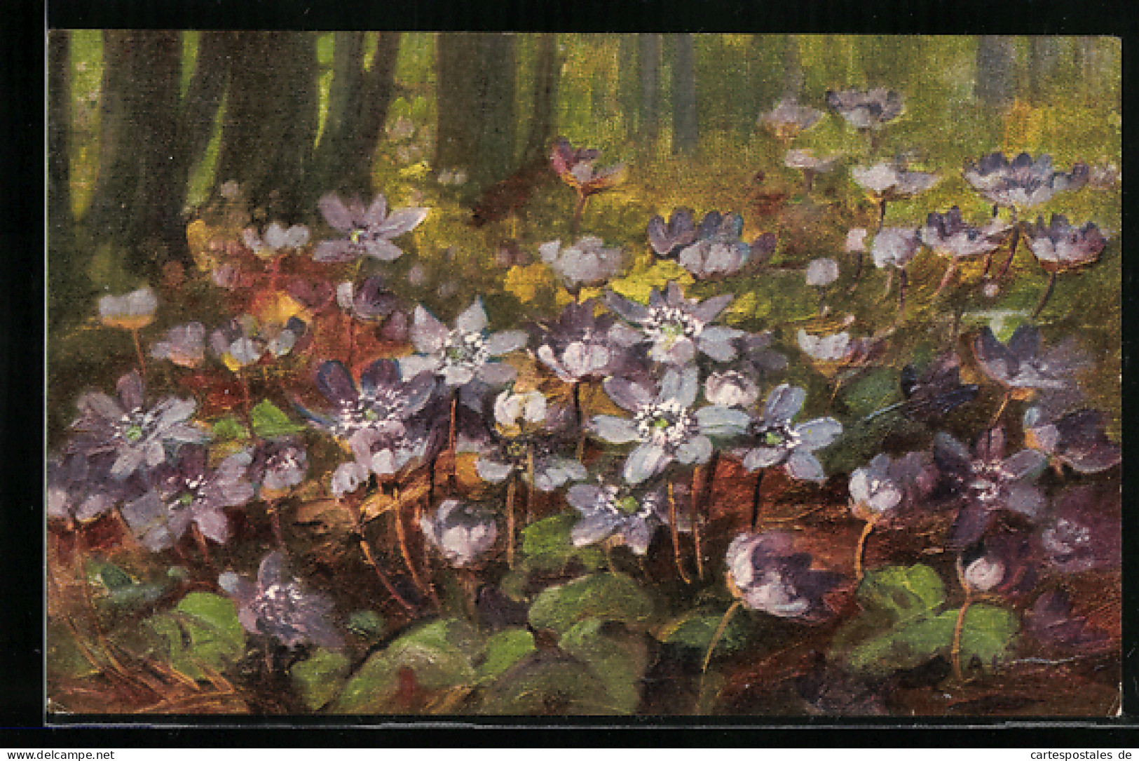 Künstler-AK Anna Haller: Violette Blumen Im Wald  - Haller, A.