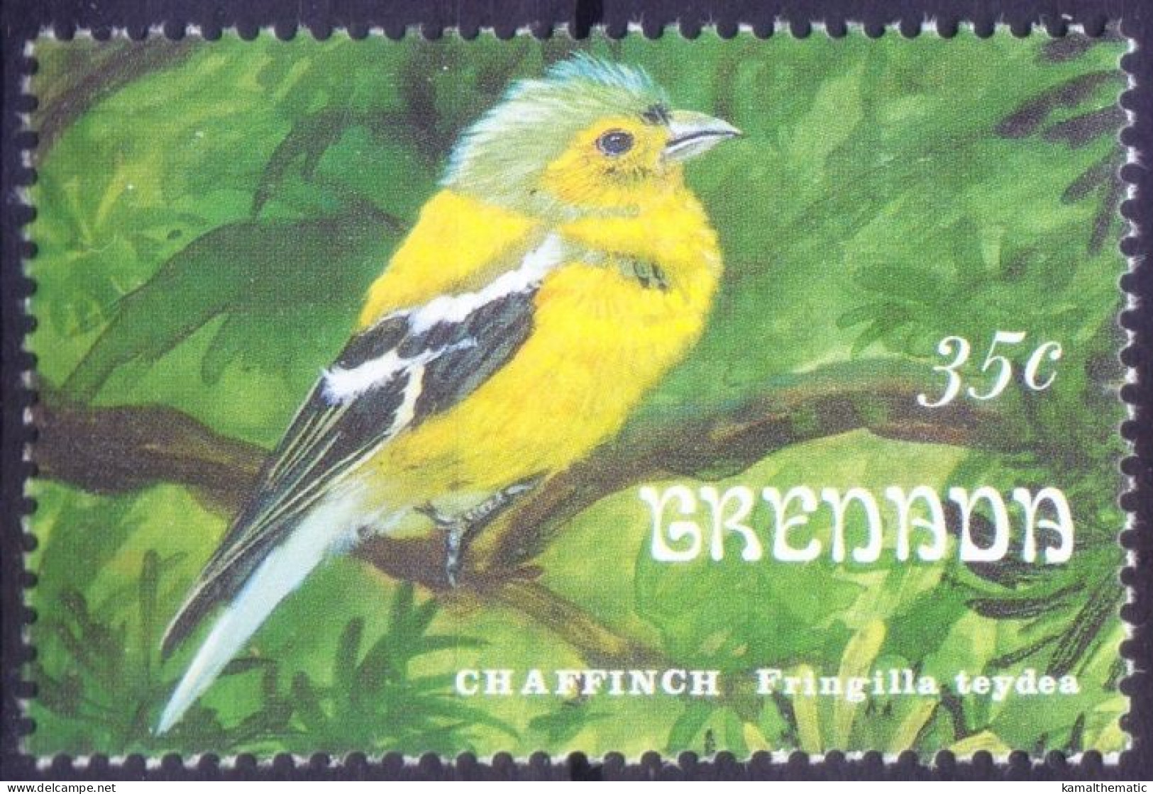 Common Chaffinch, Song Birds, Grenada 1993 MNH - - Pájaros Cantores (Passeri)