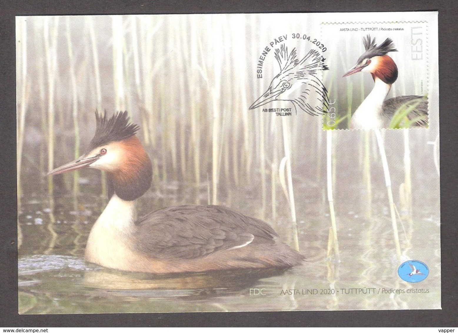 Bird Of The Year - The Great Crested Grebe  Estonia 2020 Stamp FDC Mi 985 - Albatros