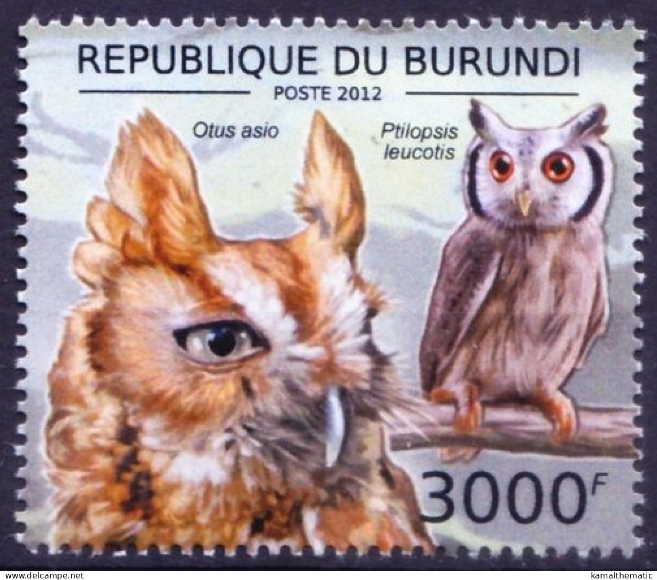 Burundi 2012 MNH, Birds Of Prey, Owls, Eastern Screech Owl - Uilen