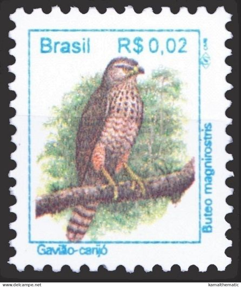 Brazil 1994 MNH 1v, Roadside Hawk, Birds Of Prey, Raptors - Aigles & Rapaces Diurnes