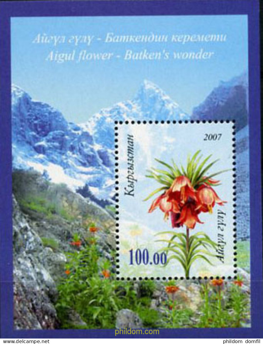 207399 MNH KIRGUIZISTAN 2007 FLORES DE MONTAÑA - Kirghizistan