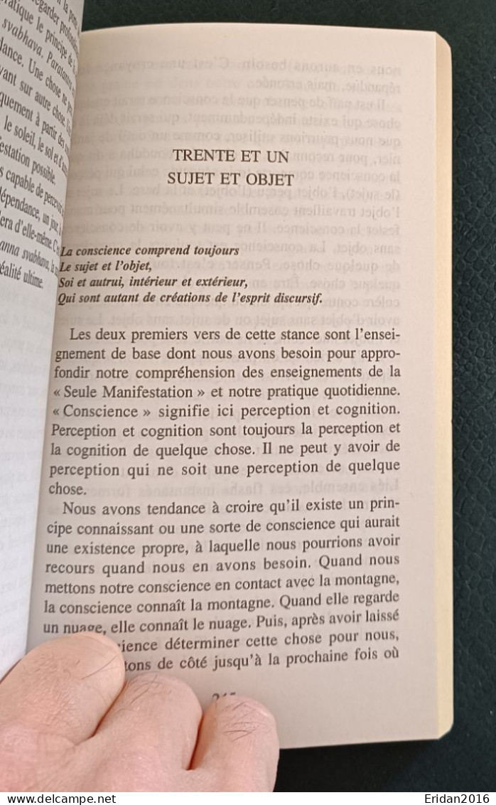 Pour Une Métamorphose De L'Esprit : Thich Nhat Hanh  : FORMAT POCHE - Geheimleer