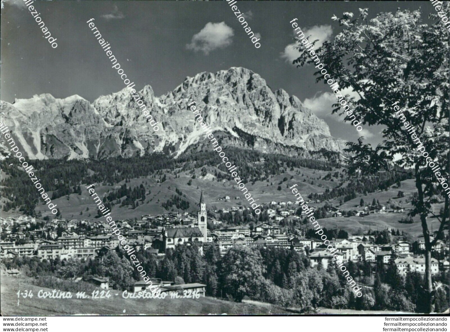 S764 Cartolina Cortina Cristallo Spedita Provincia Di Belluno - Belluno