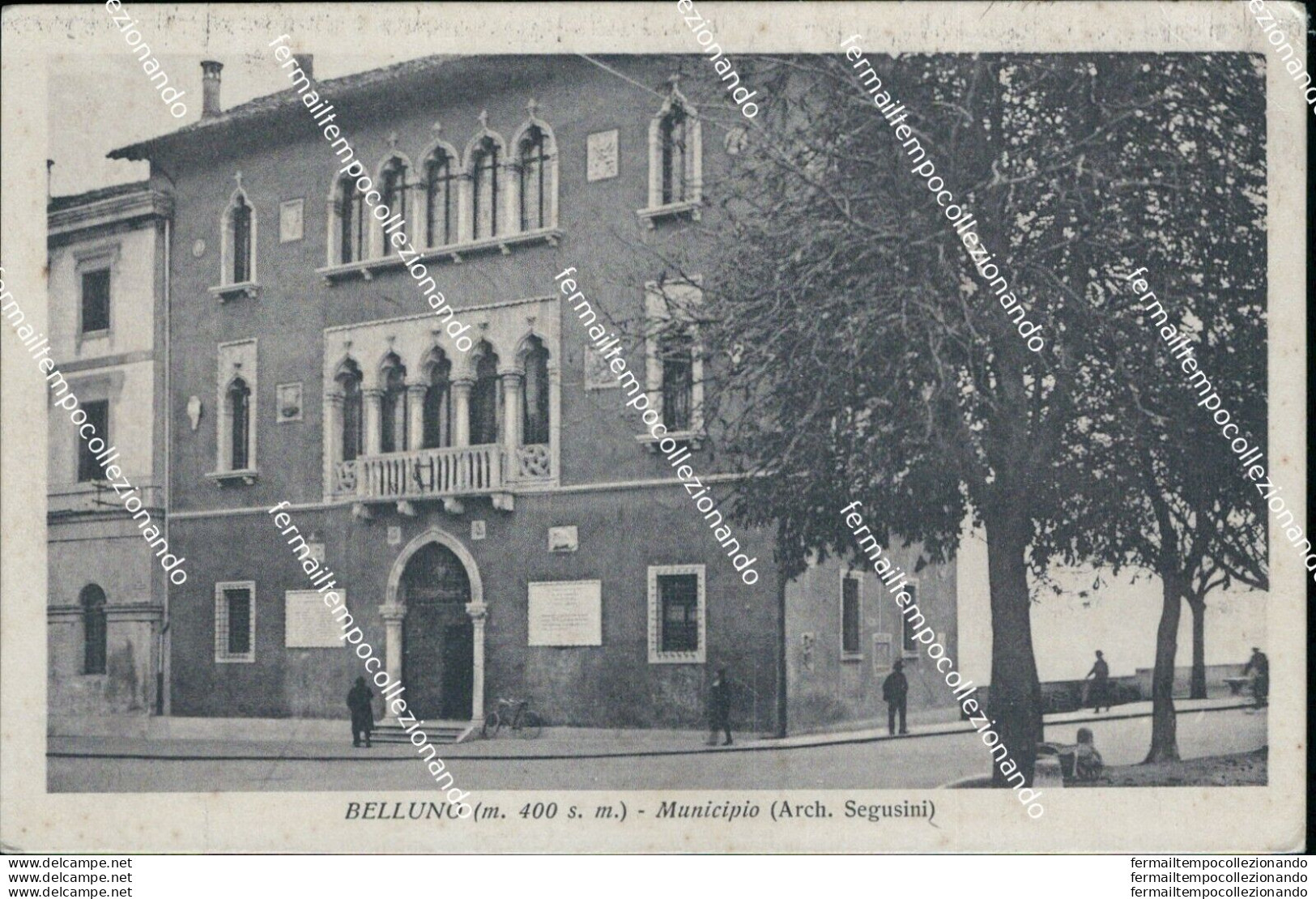 Bl365 Cartolina Belluno Citta'  Chiesa Di S.stefano - Belluno