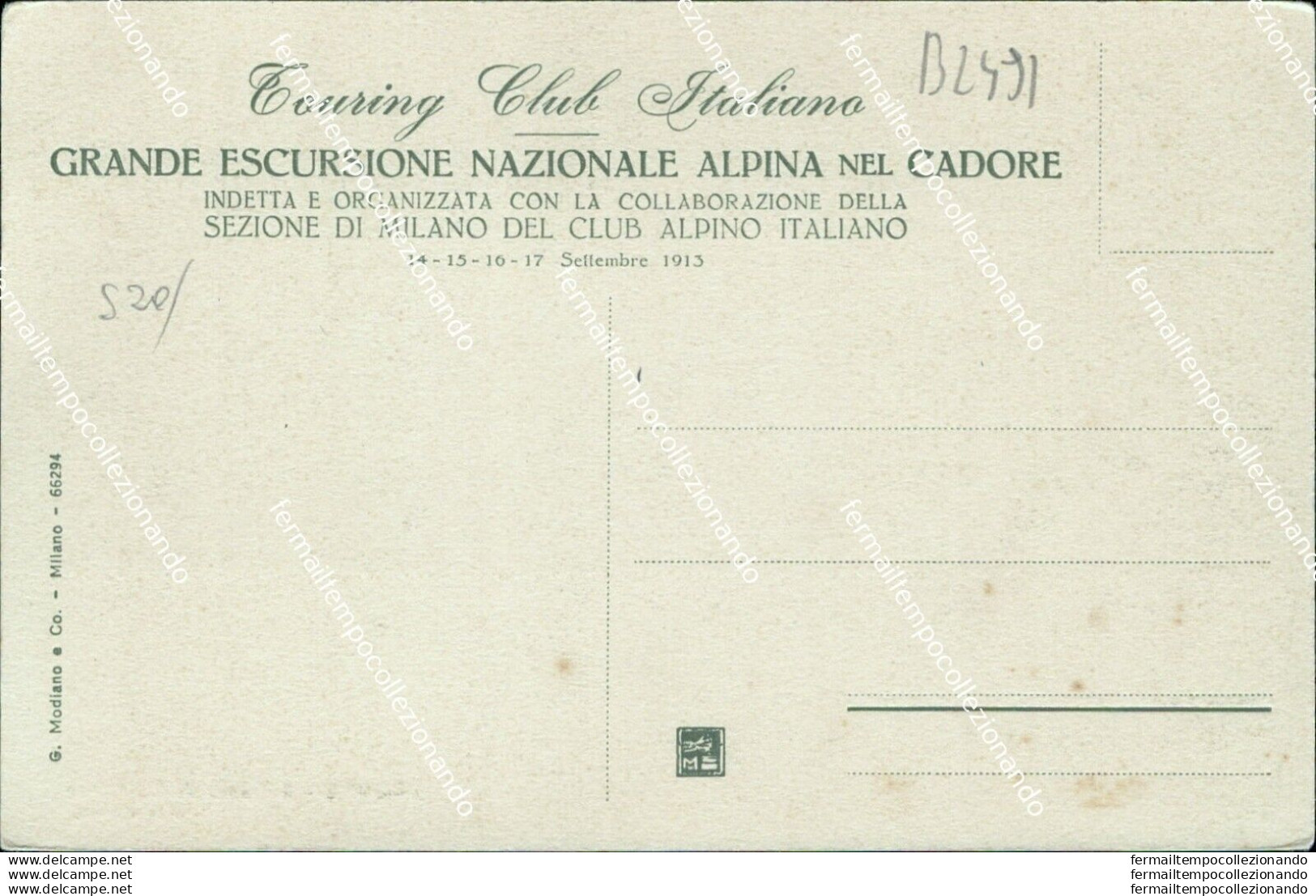 Bl491 Cartolina Cadore Il Bosco Di S.marco Provincia Di Belluno - Belluno