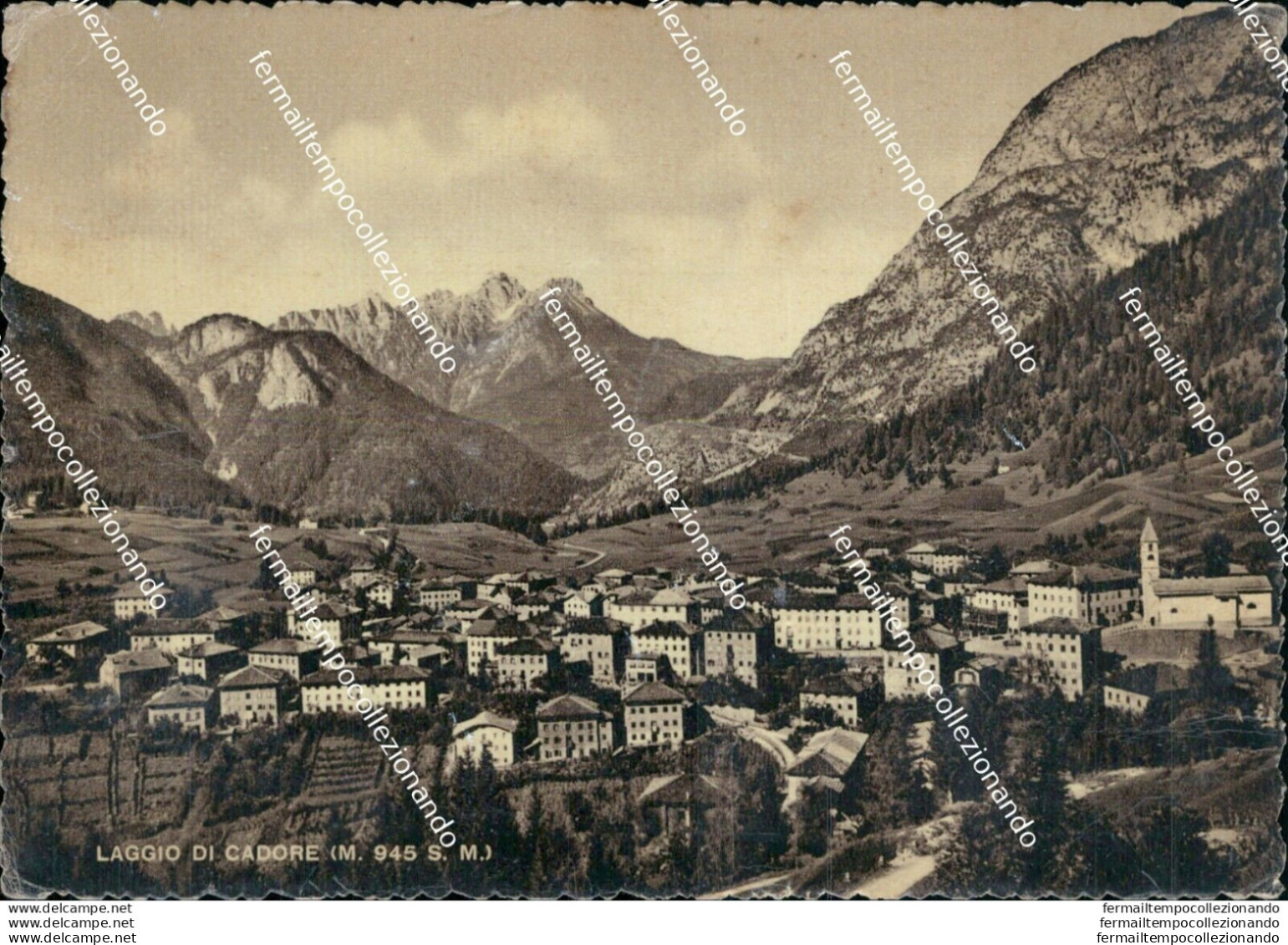 D843 Cartolina Laggio Di Cadore Provincia Di Belluno - Belluno