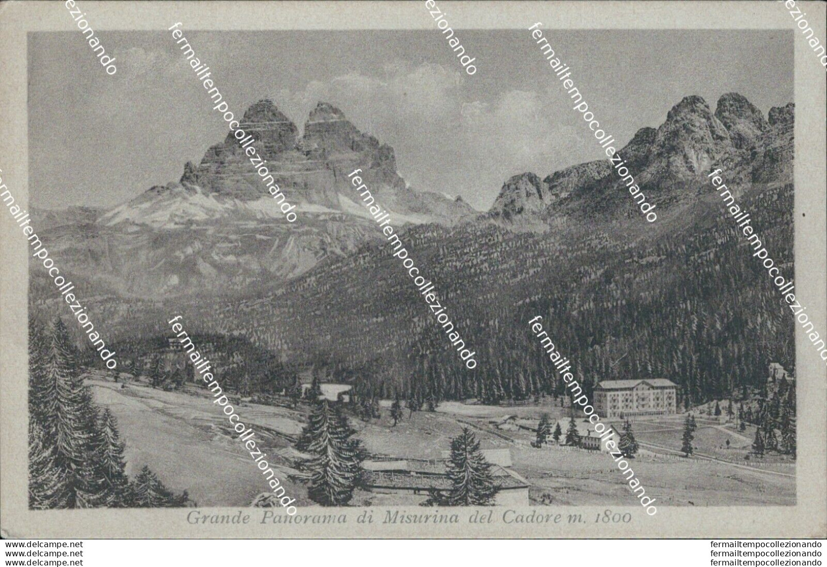 Bl501 Cartolina  Grande Panorama Di Misurina Del Cadore Provincia Di Belluno - Belluno
