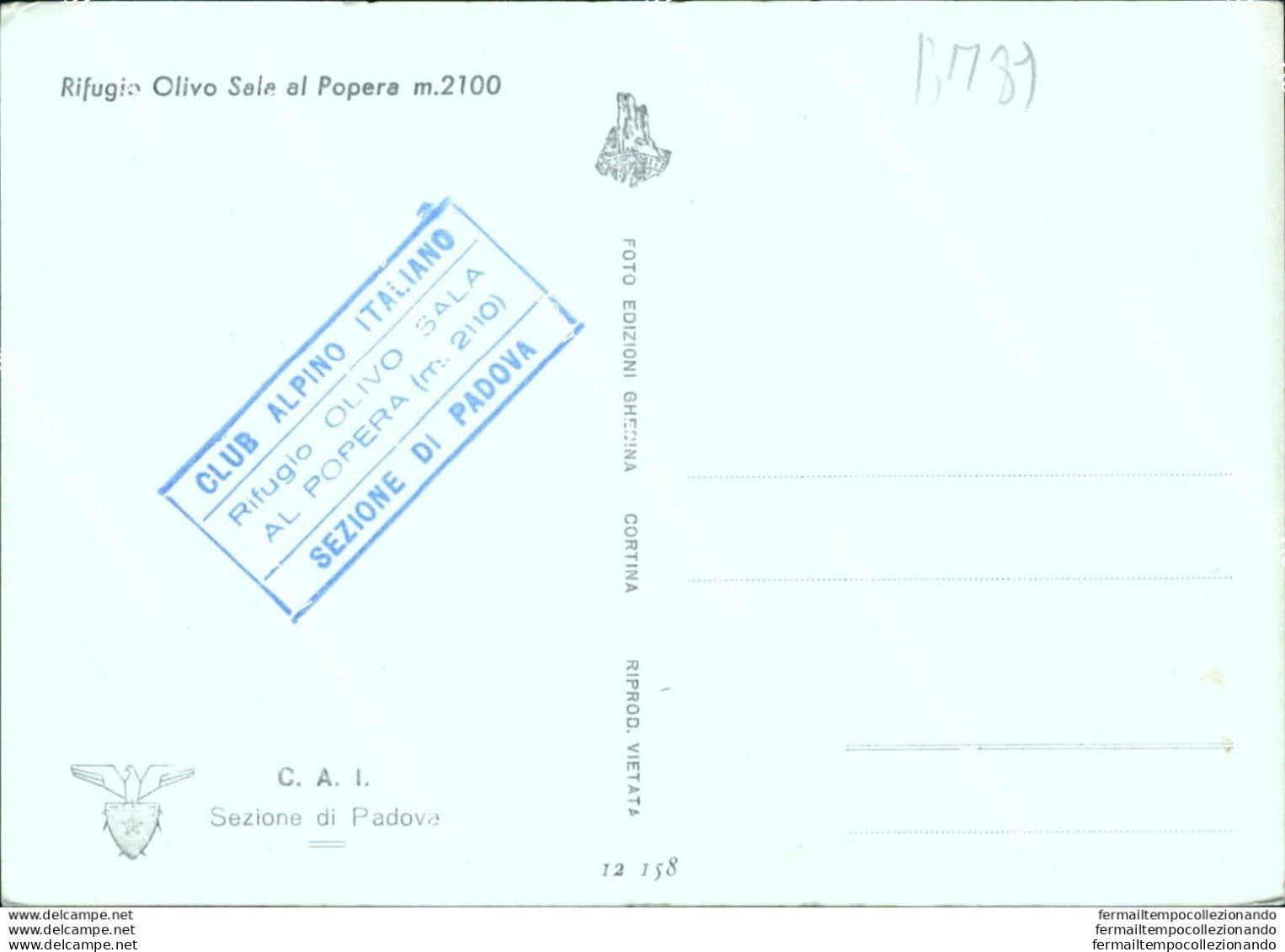 Bm89 Cartolina Rifugio Olivo Sala Al Popera Provincia Di Belluno - Belluno