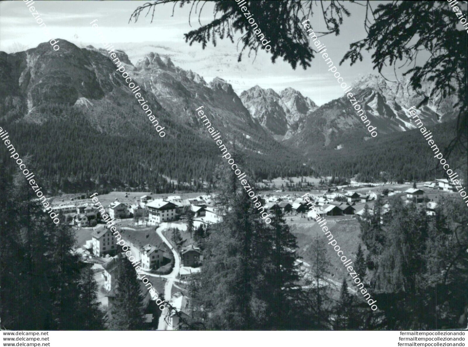 Bm83 Cartolina Sappada Panorama Con Le Terze Provincia Di Belluno - Belluno