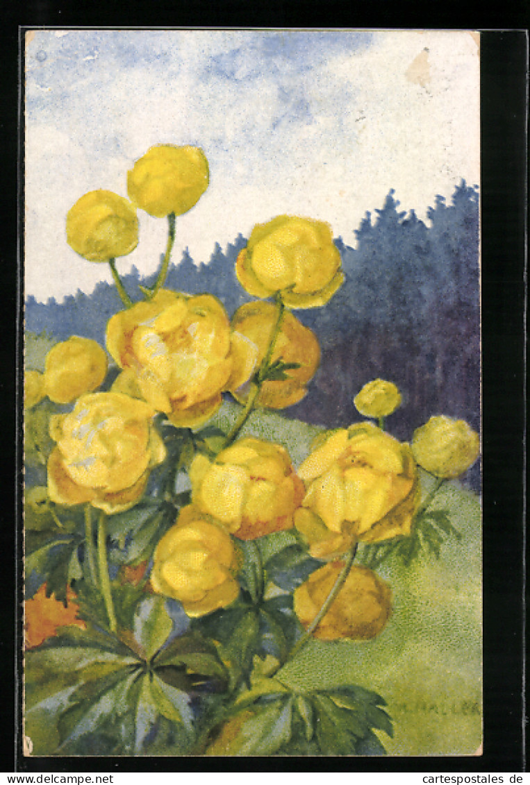 Künstler-AK Anna Haller: Gelb Blühende Blumen Auf Einer Bergwiese  - Haller, A.