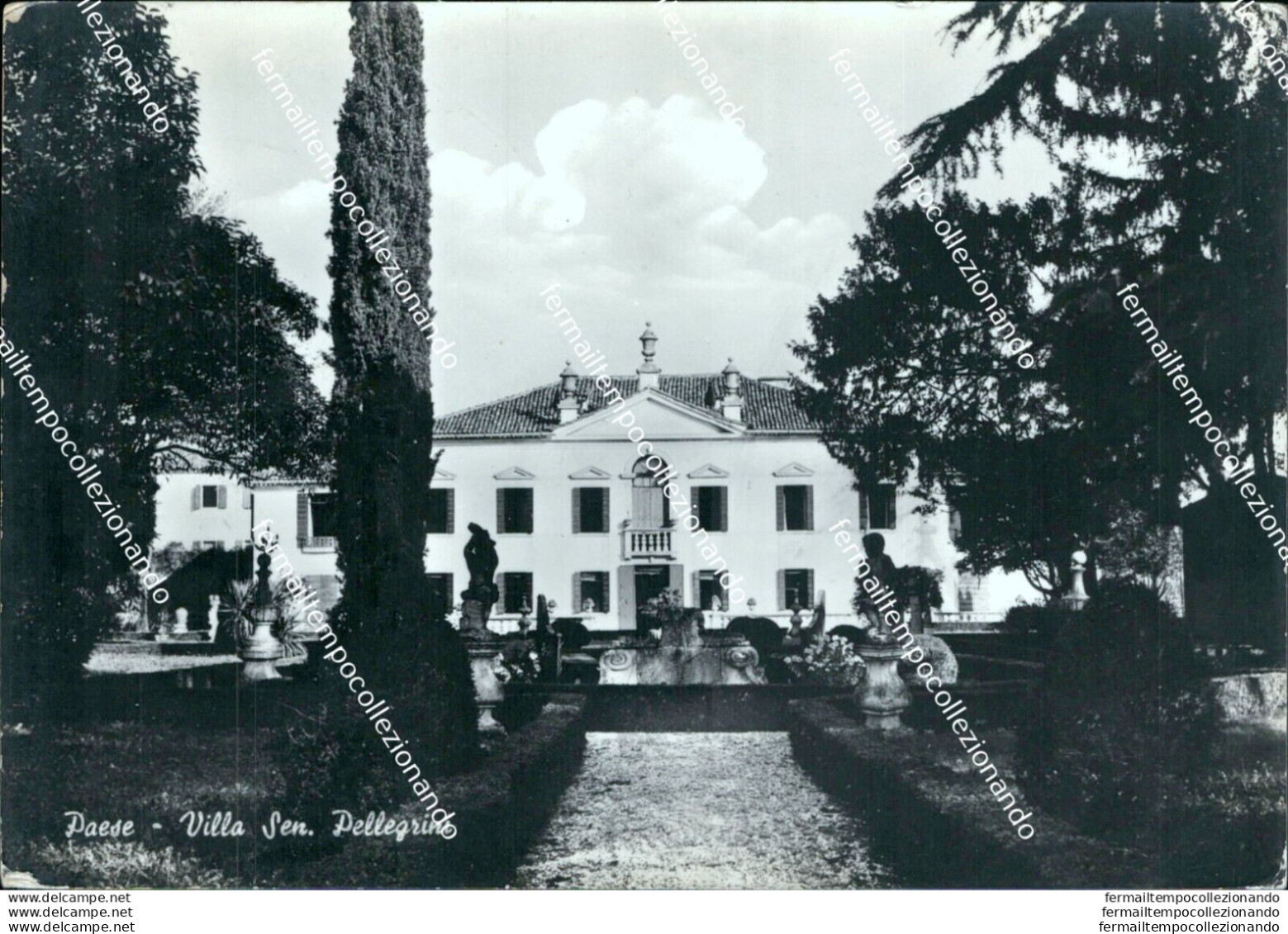 Bl601 Cartolina Paese Villa Sen.pellegrini Provincia Di Treviso - Treviso