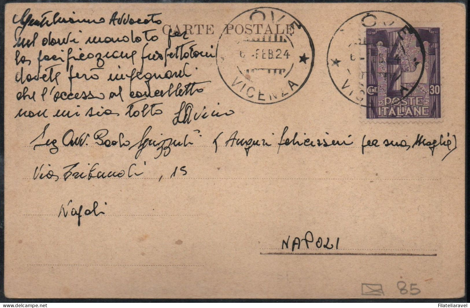 REGNO  Cartolina " Ritratto Di Donna ". Viaggiata Da Vicenza A Napoli Il 6 Febbraio 1924 - Poststempel