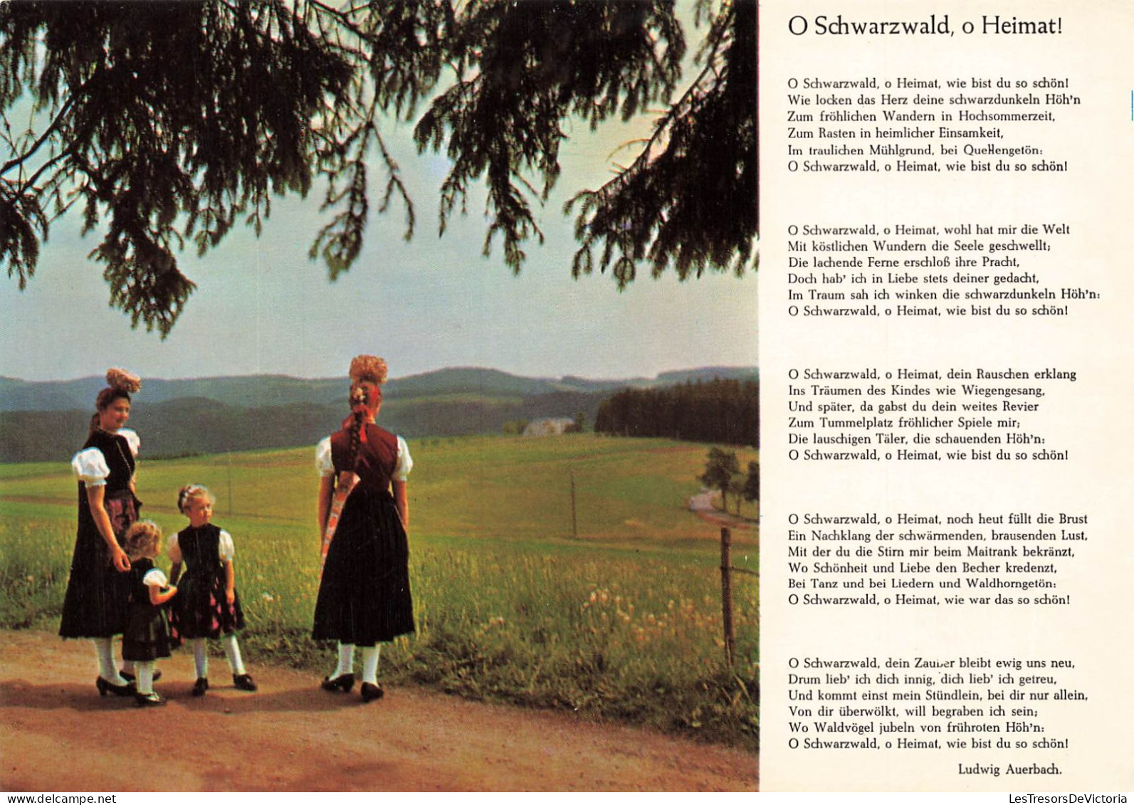 SPECTALE - Musique Et Musiciens - O Schwarzwald O Heimat ! - Carte Postale - Musica E Musicisti